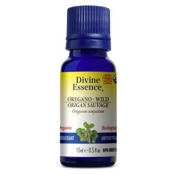 Organic Wild Oregano Essential Oil Origanum Compactum - Antioxidant