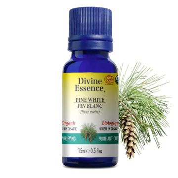 Organic White Pine Essential Oil - Skin Purifier