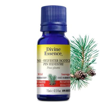 Pinus Sylestris Essential Oil - Polyarthritis
