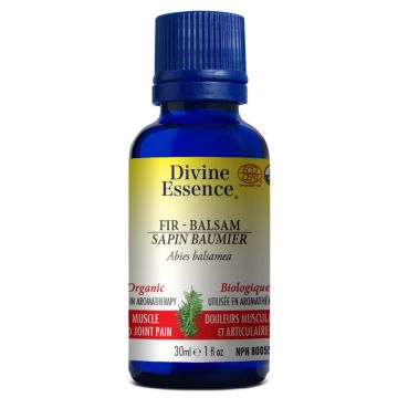 Organic Balsam Fir Abies Balsamea Essential Oil - Muscle and Joint Pain 