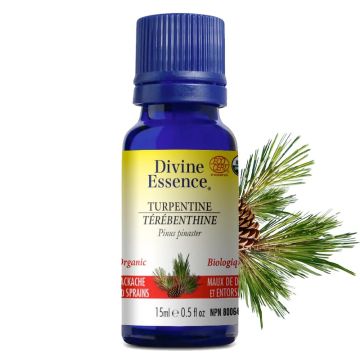 Organic Turpentine Pinus Pinaster Essential Oil - Back Pain 