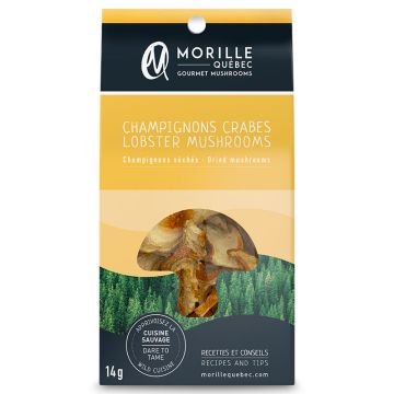 Dried Mushrooms Lobster