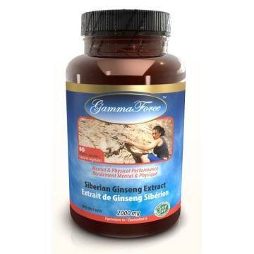 Siberian Ginseng Extract 4:1 500 mg - Mental and Physical Performance