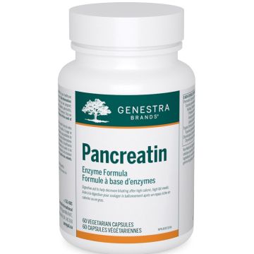 Enzymes Pancreatin - Digestion