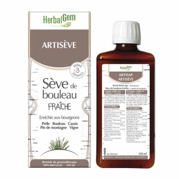 G28 Artisève - Gemmothérapie