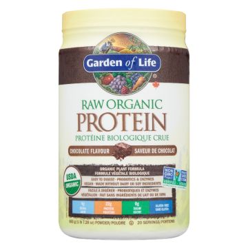 Chocolate Flavour Raw Organic Protein Powder