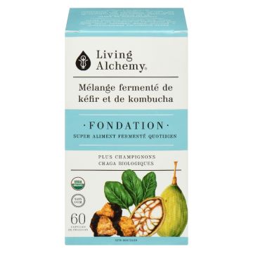 Kefir-Kombucha fermented blend  - Foundation
