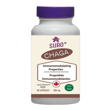 Chaga - Propriétés immunomodulantes