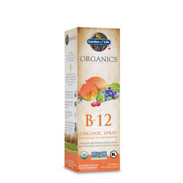 Organics - Organic Vegan Methylcobalamin B-12 Vitamin