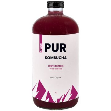 Organic Kombucha - Boreal Fruits