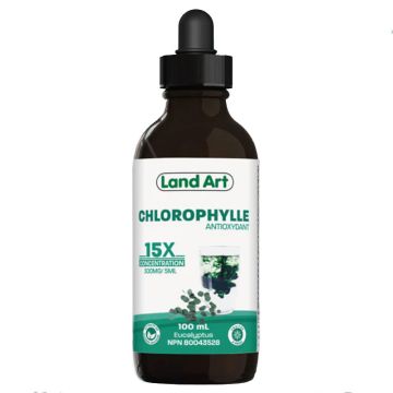 Chlorophyll - Concentrated 15X eucalyptus