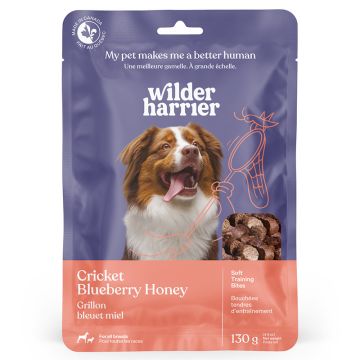 Cricket Training Bites Blueberry Honey