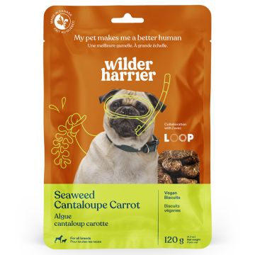 Seaweed Vegan Biscuits Cantaloupe Carrot
