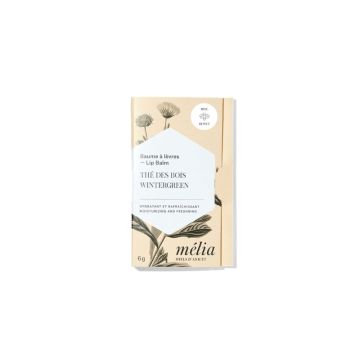 Lip Balm - Wintergreen