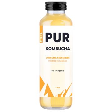 Organic Kombucha - Ginger and Turmeric