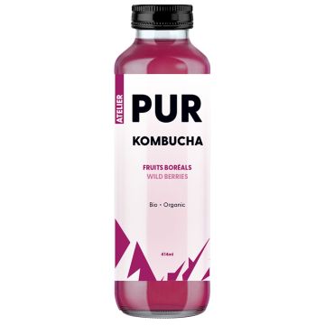 Organic Kombucha - Boreal Fruits
