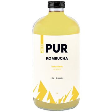 Organic Kombucha  -  Ginger