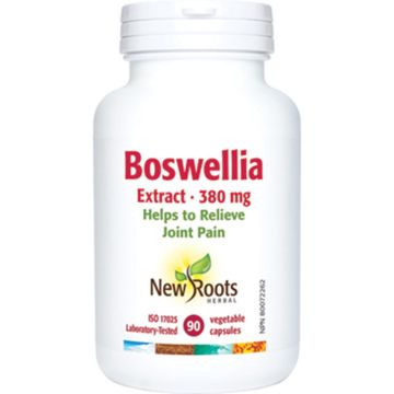 Boswellia Extract 380 mg - Joint Pain