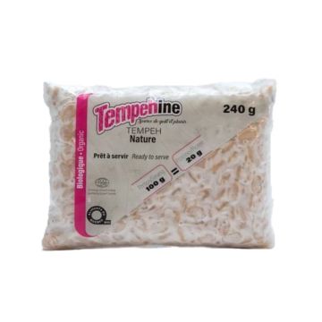 Tempeh biologique Nature