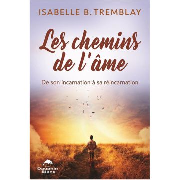 Les chemins de l'âme : De son incarnation à sa réincarnation
