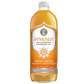  Synergy Organic Kombucha - Mystic mango