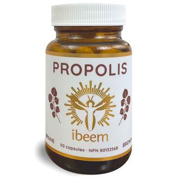 Propolis - Poplar Brown