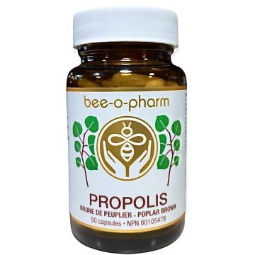 Propolis - Poplar Brown