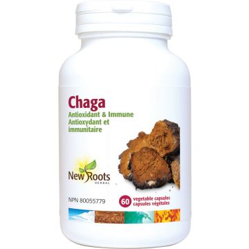 Mushrooms - Chaga