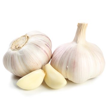 Ail biologique
