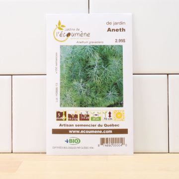 Organic seeds -  Garden Dill