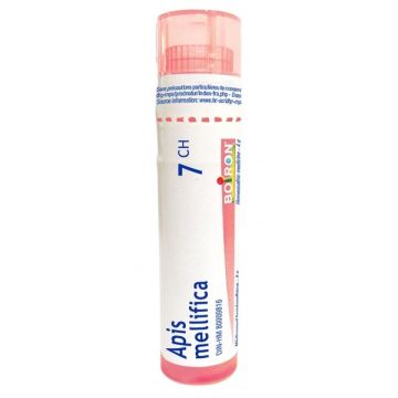Homeopathic Medecine - Apis Mellifica 7 CH
