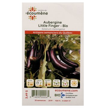 Légumes biologiques  – Aubergine Little Finger 