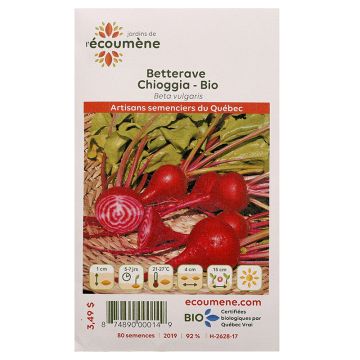 Légumes biologiques – Betterave Chioggia  