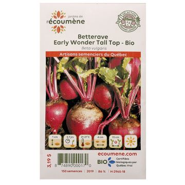 Semences biologiques – Betterave Early Wonder Tall Top 