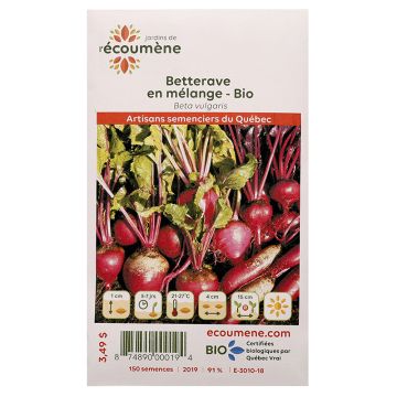 Légumes biologiques – Betteraves en mélange  