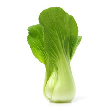 Bok choy biologique
