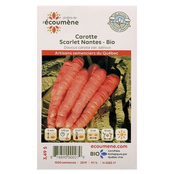 Légumes biologiques  – Carotte scarlet nantes 