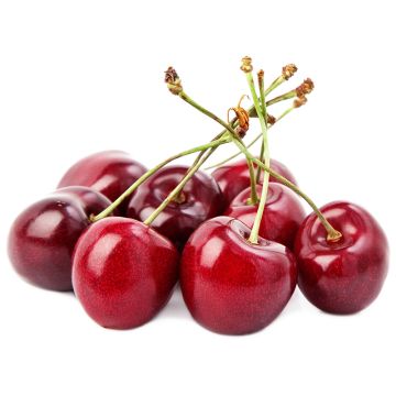 Organic Cherries
