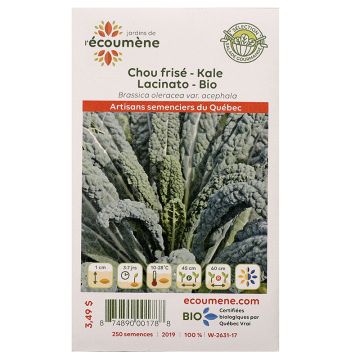 Légumes biologiques  – Chou frisé kale lacinato