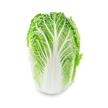 Organic nappa cabbage