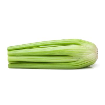 Organic Celery Heart