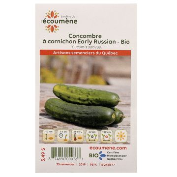 Légumes biologiques  - Concombre à cornichon early russian  