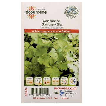 Semences biologiques - Coriandre santos 