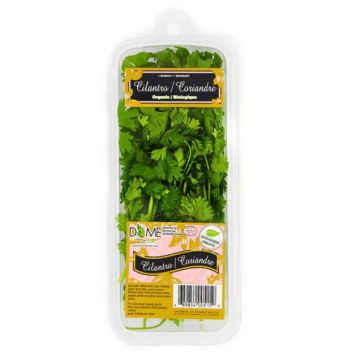 Organic cilantro
