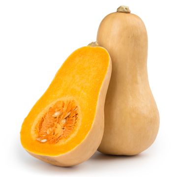 Organic Butternut Squash