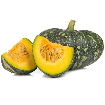Courge kabocha biologique
