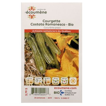 Squash Organic -  Romanesco costata zucchini