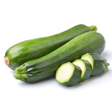 Courgette verte biologique