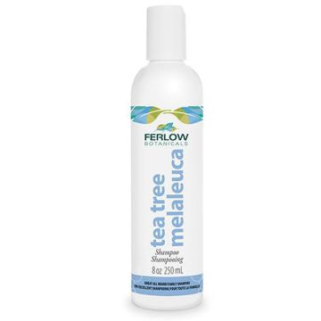 Shampoing - Melaleuda