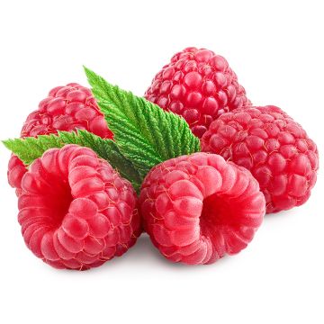 Framboise biologique